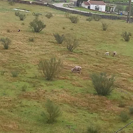Casa de hóspedes El Fogon De Felisa Herrera del Duque