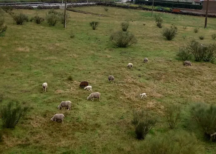 El Fogon De Felisa Gasthuis Herrera del Duque