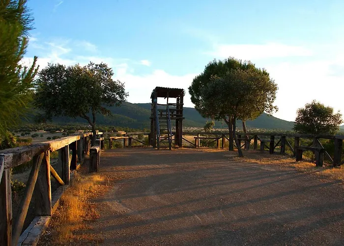 El Fogon De Felisa 3*